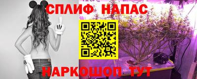 ПСИЛОЦИБИНОВЫЕ ГРИБЫ Гатчина