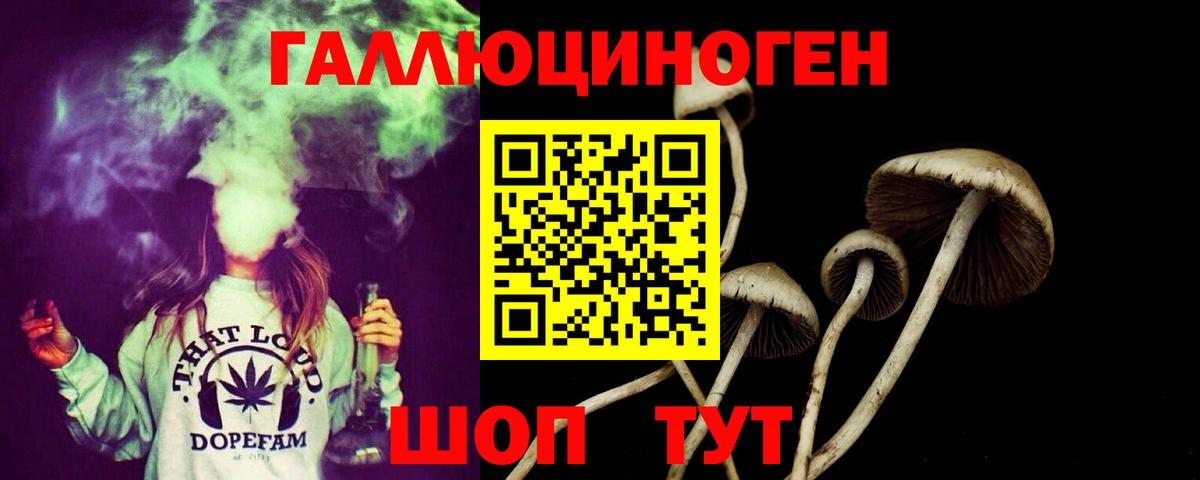 Галлюциногенные грибы Psilocybe Моздок