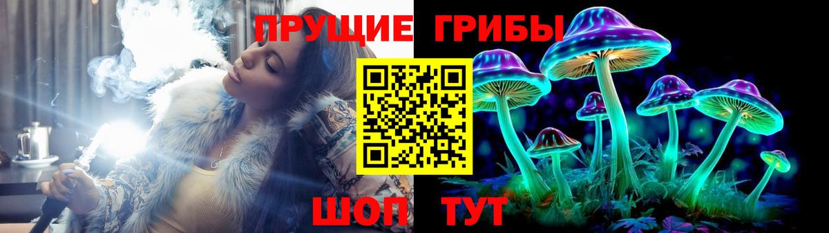 Моздок  Псилоцибиновые грибы ЛСД  Вход с VPN  Псилоцибиновые грибы прущие грибы 